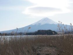 Angka Pengunjung Gunung Fuji Menurun Imbas Aturan Cegah Overtourism