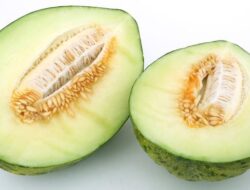 8 Makanan Ini Tak Boleh Dikonsumsi Bersamaan dengan Melon