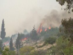Kebakaran Hutan Landa Israel, Meluas ke Perbukitan Yerusalem