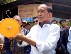 Daftar Gugatan dan Laporan Terkait Dugaan Ijazah Palsu Jokowi