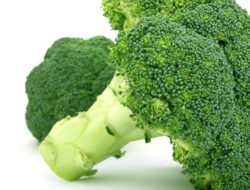 Apa yang Terjadi pada Tubuh jika Makan Brokoli Tiap Hari?