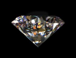 Pencurian Berlian Terungkap Gara-gara Selfie Wanita Ini Saat Liburan