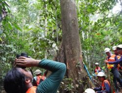 BRIN Gandeng YKAN Riset Satwa Langka di Kalimantan Timur