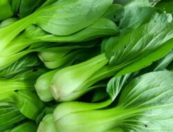 Rendah Kalori, Ini 7 Manfaat Makan Pakcoy dan Efek Sampingnya
