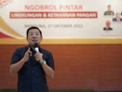 Bantuan Pangan Beras Berpotensi Disetop 2026, Ini Alasannya