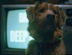 Sutradara Ungkap Kejadian Mistis Inspirasi Film Horor Good Boy