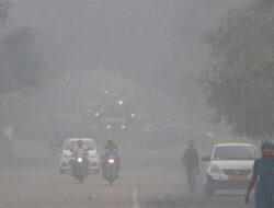 New Delhi Akan Diguyur Hujan Bersejarah Pekan Depan, Ada Apa?