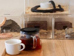 5 Cara Minum Kopi yang Benar agar Berat Badan Turun