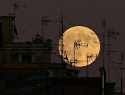 Fenomena Supermoon Terakhir 2025 Muncul 5 Desember, Simak Faktanya