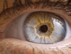 Ini 5 Cara Menjaga Kesehatan Mata pada Usia 20-40 Tahun