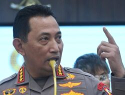 Kayu yang Terseret Banjir di Aceh-Sumatra Ada Bekas Gergaji