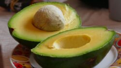 Mau Punya Kulit Sehat dan Awet Muda? Konsumsi 9 Makanan Ini