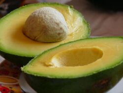 Mau Punya Kulit Sehat dan Awet Muda? Konsumsi 9 Makanan Ini