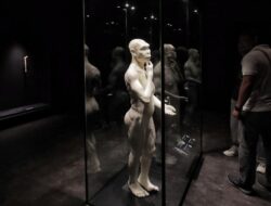 Museum Nasional Siap Gelar Pameran Khusus Rayakan Pulangnya ‘Java Man’