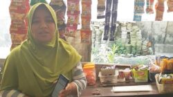 Holding Ultra Mikro Buka Jalan Ketua Kelompok Mekaar Naik Kelas