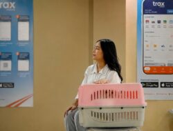 Fenomena Pet Humanization Dorong Peningkatan Mobilitas Hewan Peliharaan : Okezone Women