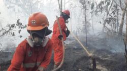 Kualitas Udara di Pontianak Dekati Level ‘Beracun’, Siswa Masih Sekolah