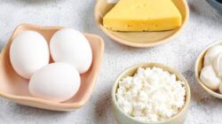 Telur vs Keju Cottage, Mana Lebih Baik untuk Jantung? : Okezone Women