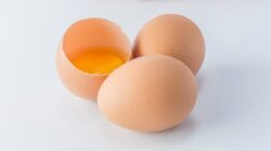 IDAI Ungkap Risiko Salmonella dari Telur Mentah bagi Bayi, Tak Hanya Bikin Sakit Perut : Okezone Women