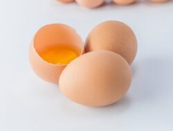 IDAI Ungkap Risiko Salmonella dari Telur Mentah bagi Bayi, Tak Hanya Bikin Sakit Perut : Okezone Women